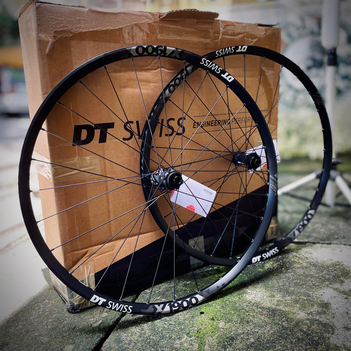 DT Swiss X 1900 Spline 29 – Als Bikes