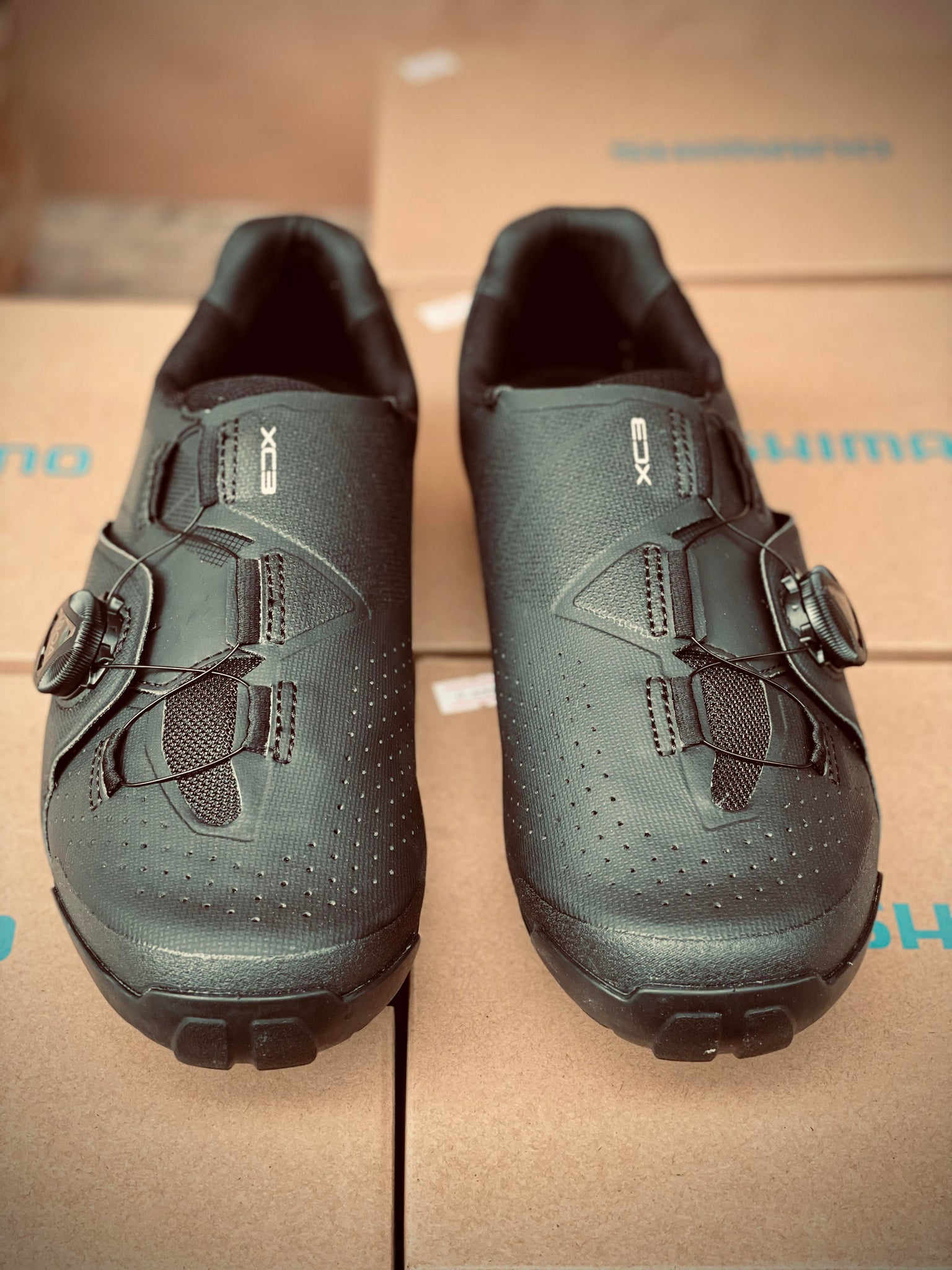 Shimano Shoes XC 300